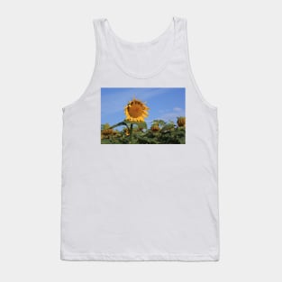 Colorful Kansas Sunflower in a field Tank Top